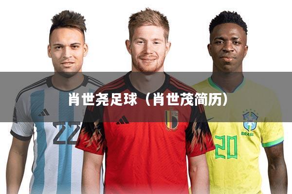 肖世尧足球（肖世茂简历）