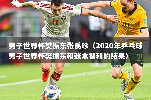 男子世界杯樊振东张禹珍（2020年乒乓球男子世界杯樊振东和张本智和的结果）