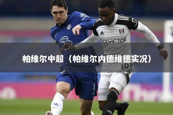 帕维尔中超（帕维尔内德维德实况）