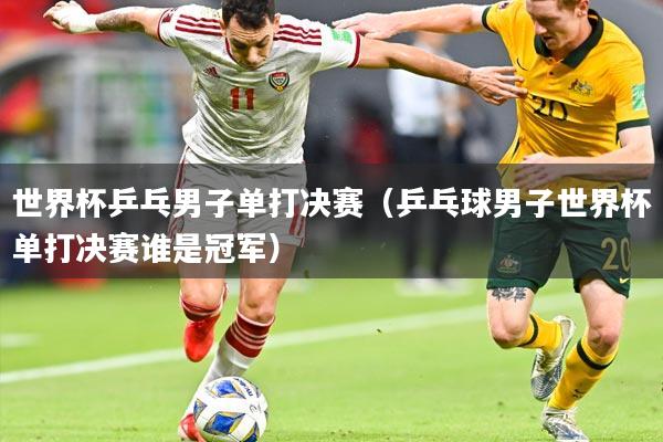 世界杯乒乓男子单打决赛（乒乓球男子世界杯单打决赛谁是冠军）