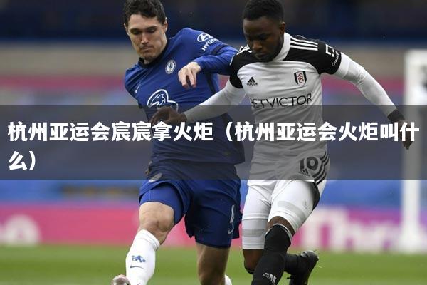 杭州亚运会宸宸拿火炬（杭州亚运会火炬叫什么）