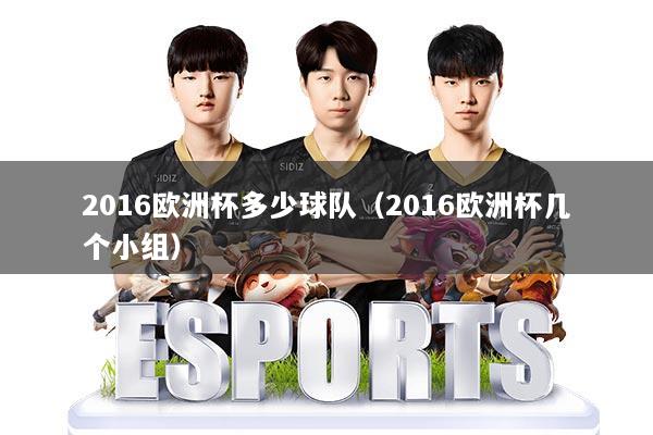 2016欧洲杯多少球队（2016欧洲杯几个小组）