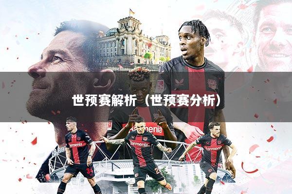 世预赛解析（世预赛分析）