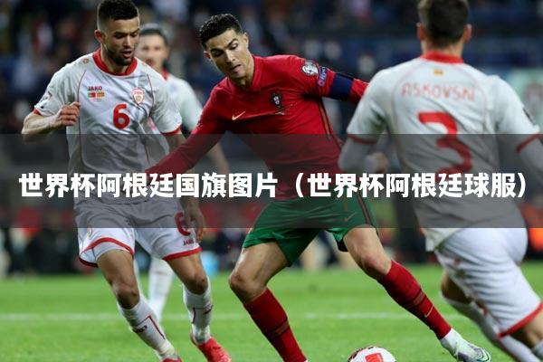 世界杯阿根廷国旗图片(世界杯阿根廷球服)