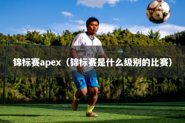 锦标赛apex(锦标赛是什么级别的比赛)
