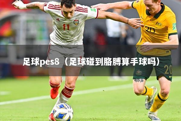 足球pes8（足球碰到胳膊算手球吗）