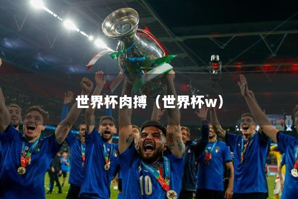 世界杯肉搏（世界杯w）