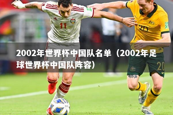 2002年世界杯中国队名单（2002年足球世界杯中国队阵容）