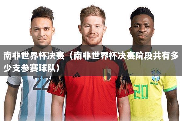南非世界杯决赛（南非世界杯决赛阶段共有多少支参赛球队）