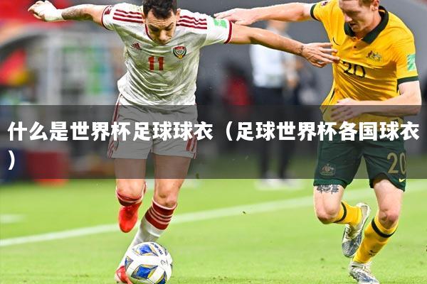 什么是世界杯足球球衣（足球世界杯各国球衣）