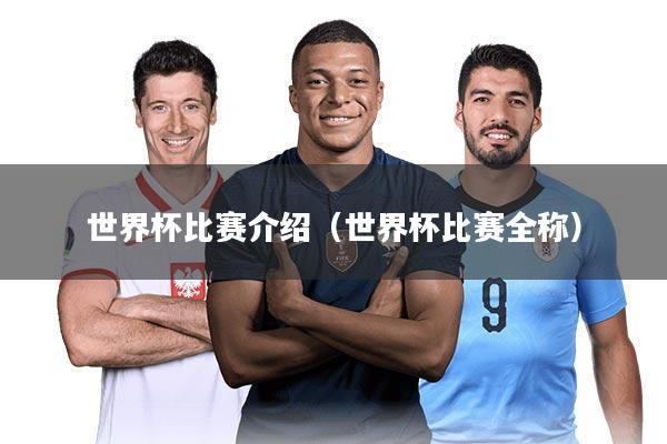 世界杯比赛介绍(世界杯比赛全称)