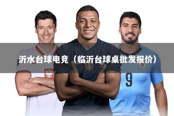 沂水台球电竞(临沂台球桌批发报价)