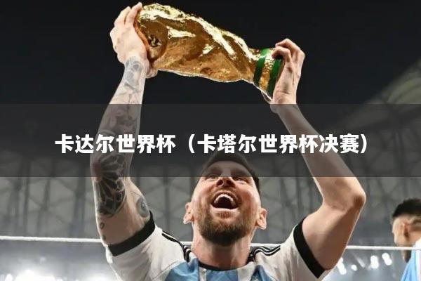 卡达尔世界杯（卡塔尔世界杯决赛）