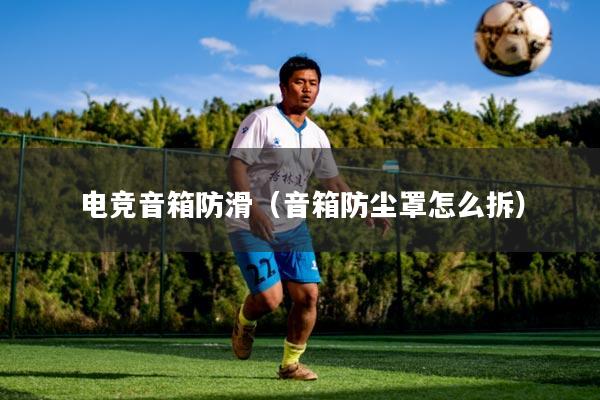 电竞音箱防滑（音箱防尘罩怎么拆）